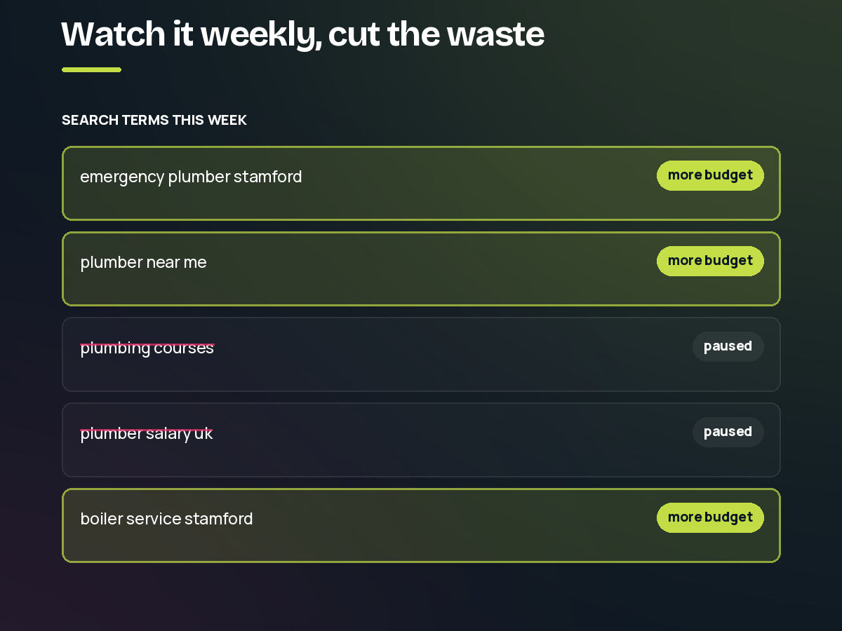 A week of search terms with the profitable ones given more budget and the irrelevant ones paused