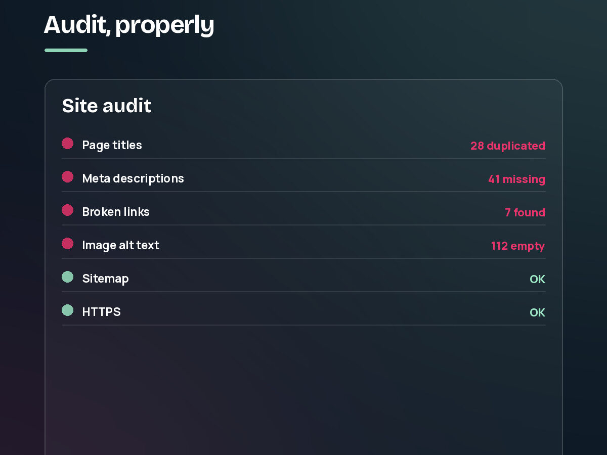 An audit report listing duplicated page titles, missing meta descriptions, broken links and empty image alt text, with sitemap and HTTPS passing. Step 1 of the SEO process.